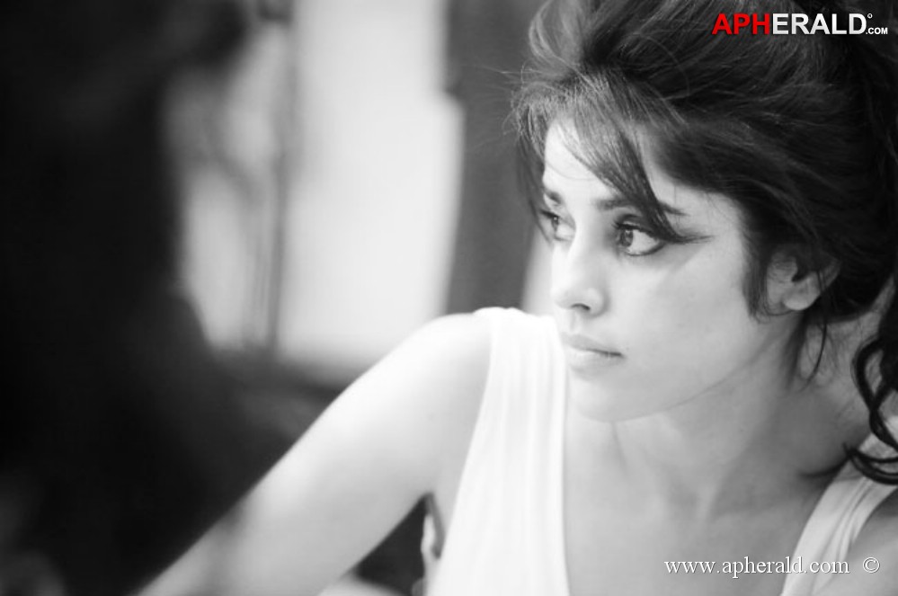 Piaa Bajpai Hot Photos