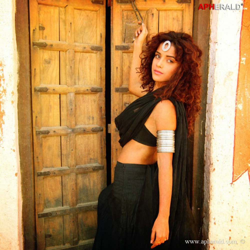 Piaa Bajpai Hot Photos
