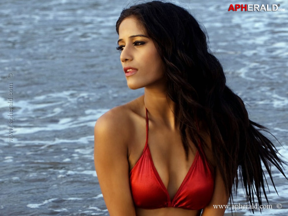 Poonam Pandey Hot Navel Images
