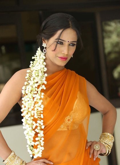 Poonam Pandey Latest Saree Stills