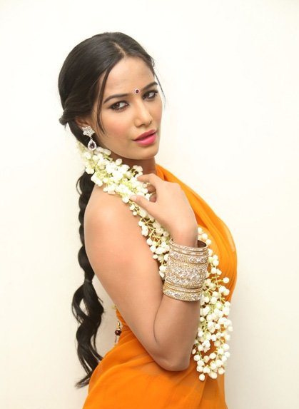 Poonam Pandey Latest Saree Stills