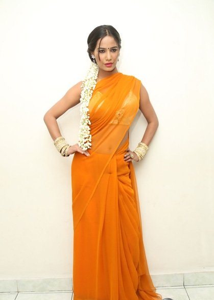 Poonam Pandey Latest Saree Stills