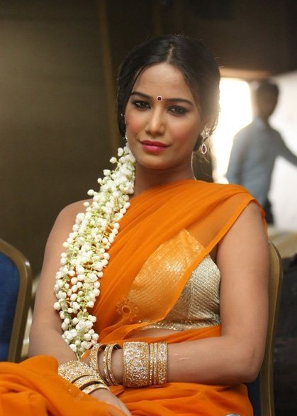 Poonam Pandey Latest Saree Stills