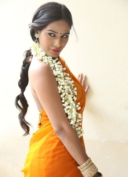 Poonam Pandey Latest Saree Stills