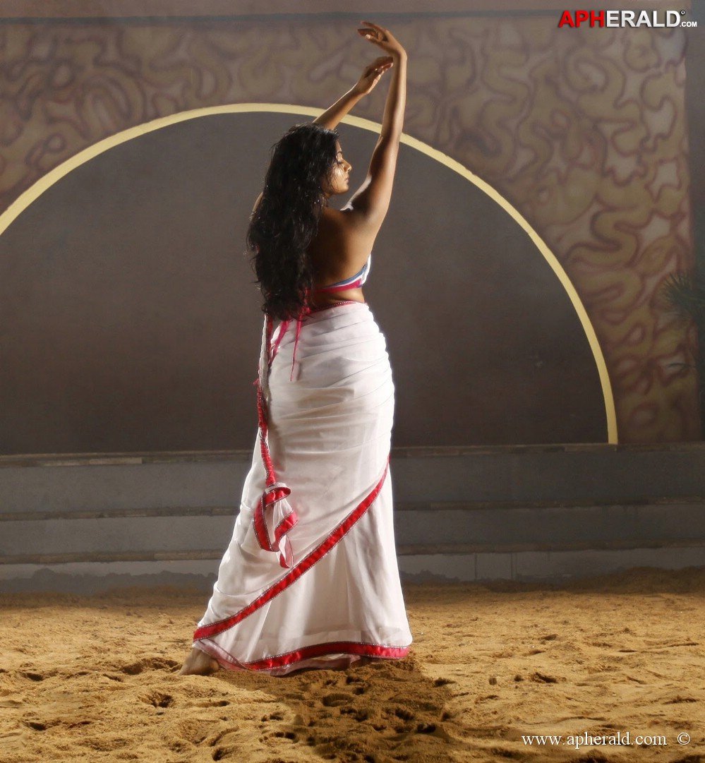 priyamani hot dance stills