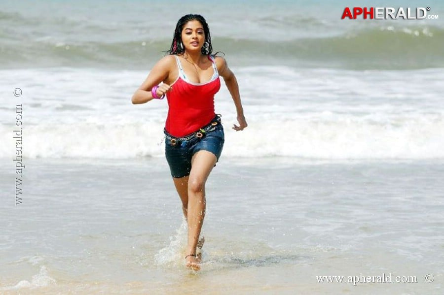 Priyamani Hot Navel Pics