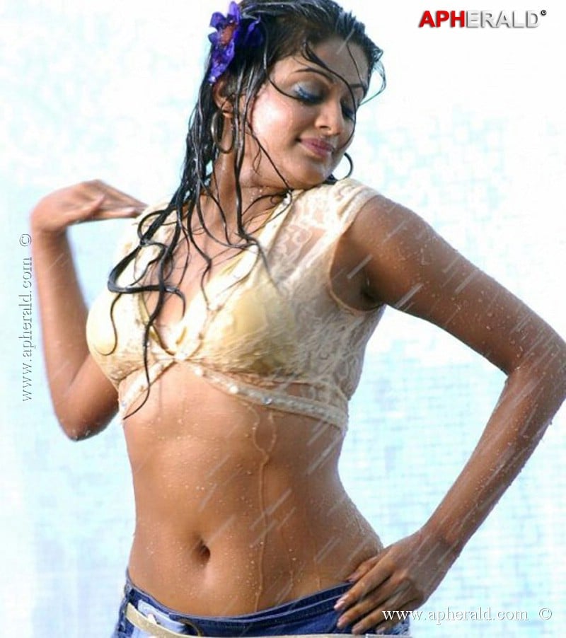 Priyamani Hot Navel Pics