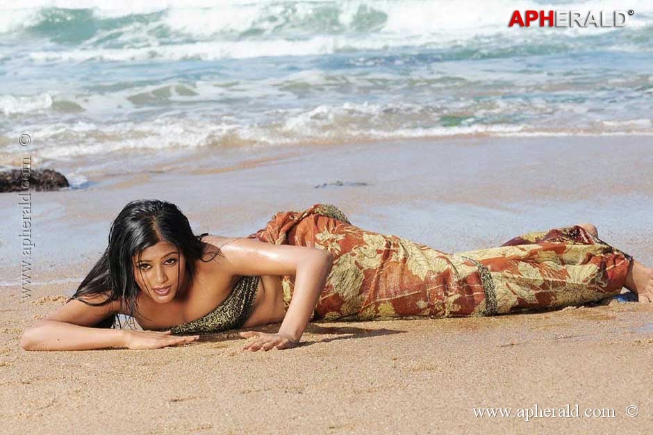 Priyamani Hot Navel Pics