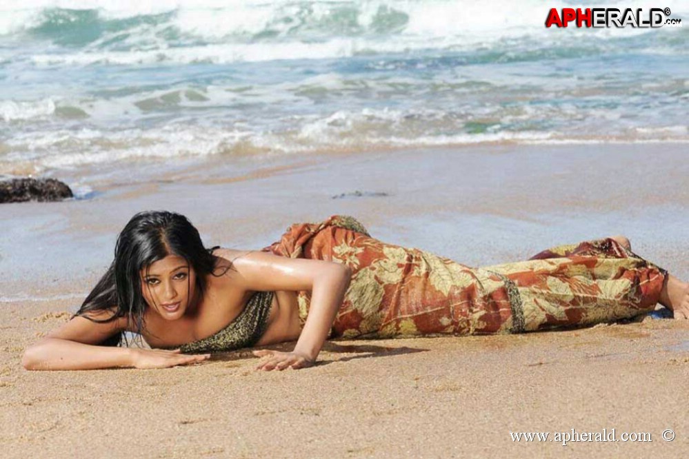 Priyamani Hot Navel Pictures