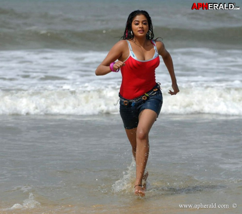 Priyamani Hot Navel Pictures