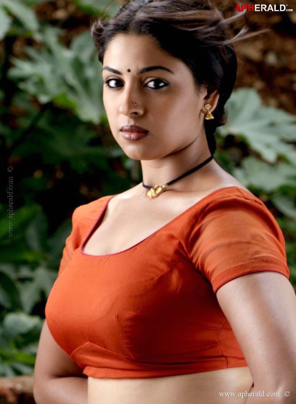a sample image