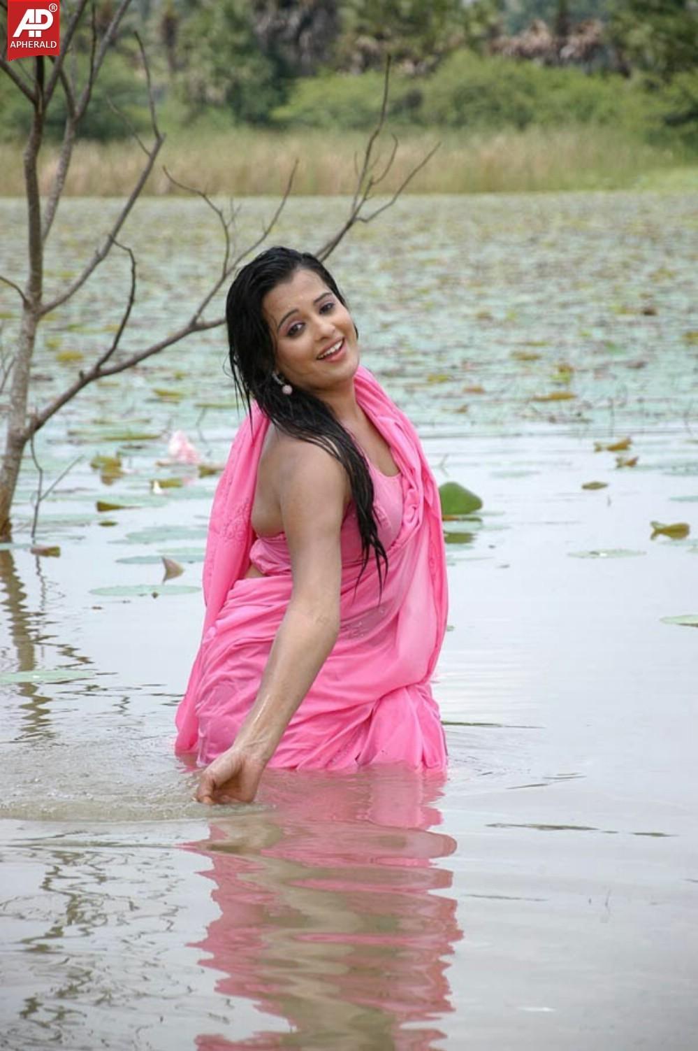 Roopika Latest Spicy wet Picture