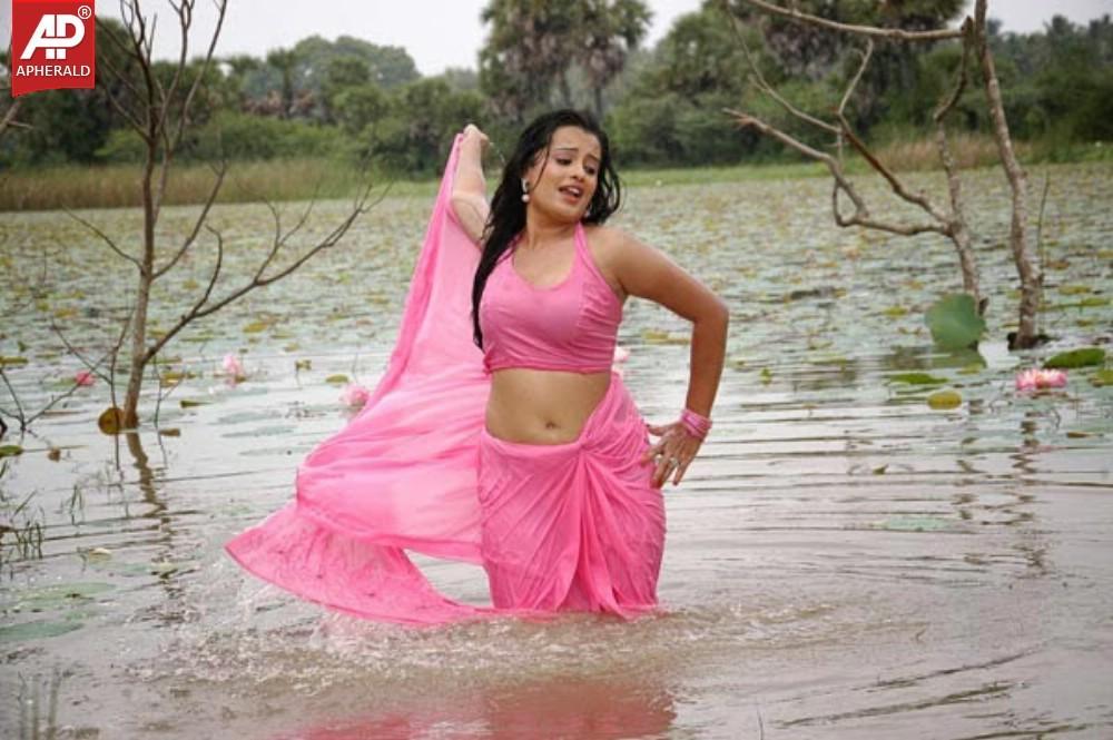 Roopika Latest Spicy wet Picture
