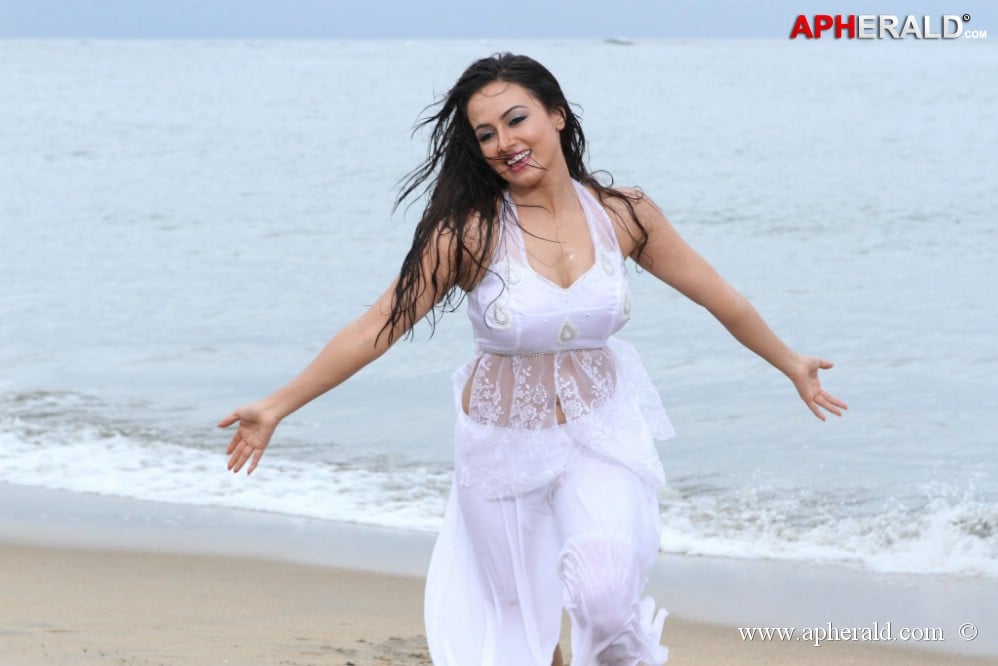 Sana Khan Hot Pictures