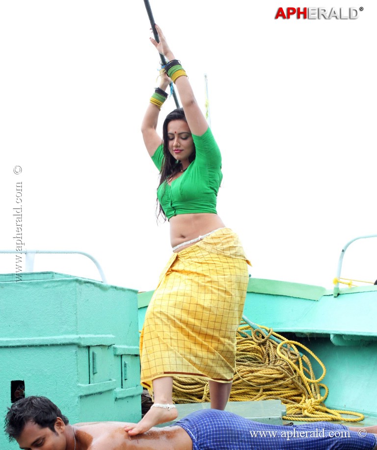 Sana Khan Hot Stills in Gajjala Gurram