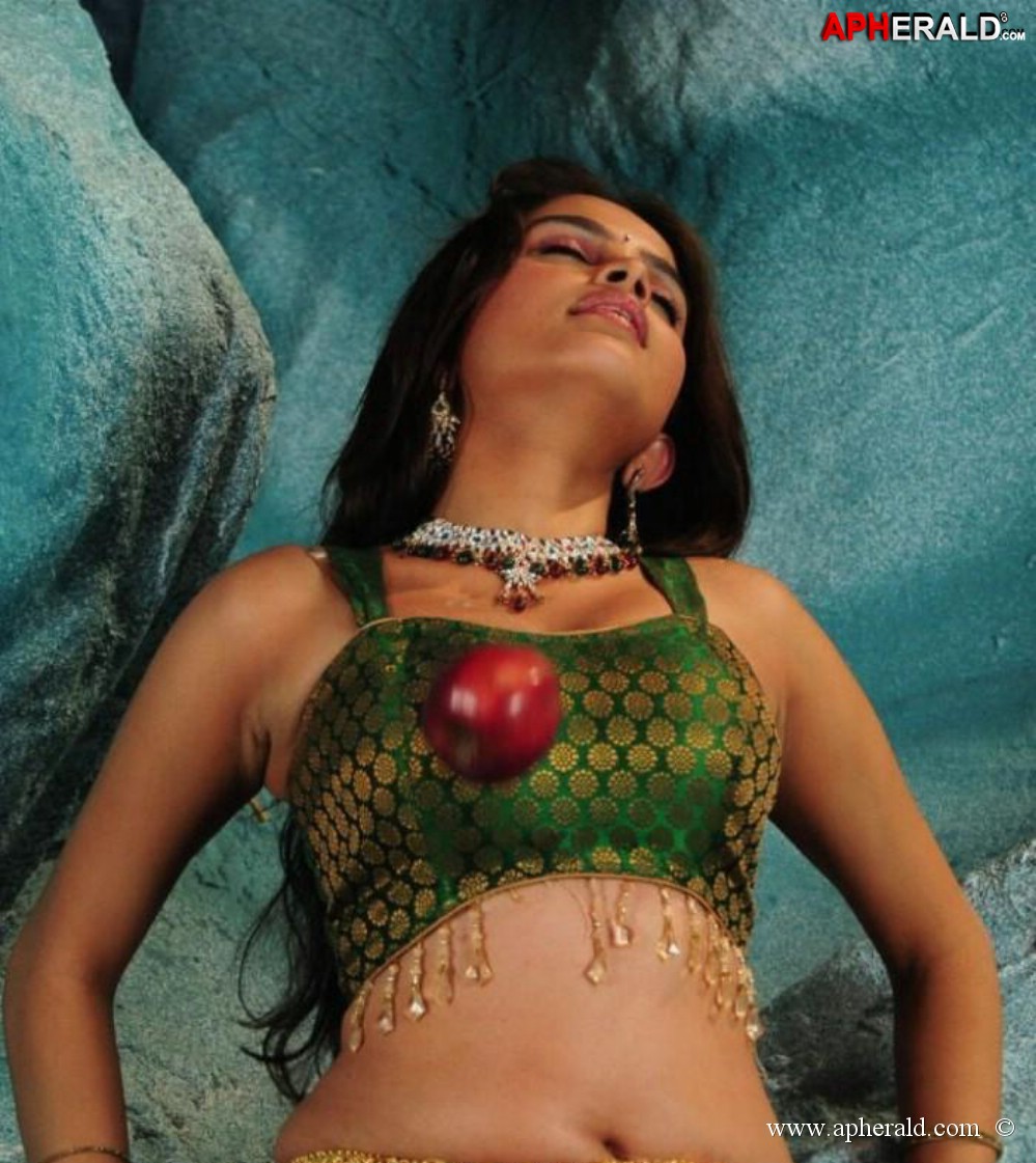 Sheena Shahabadi Hot Dance Pics