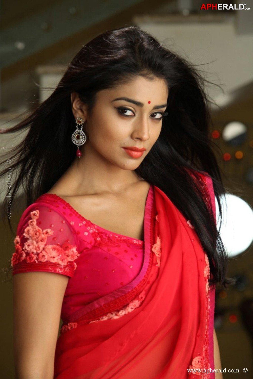 Shriya Saran Hot Gallery