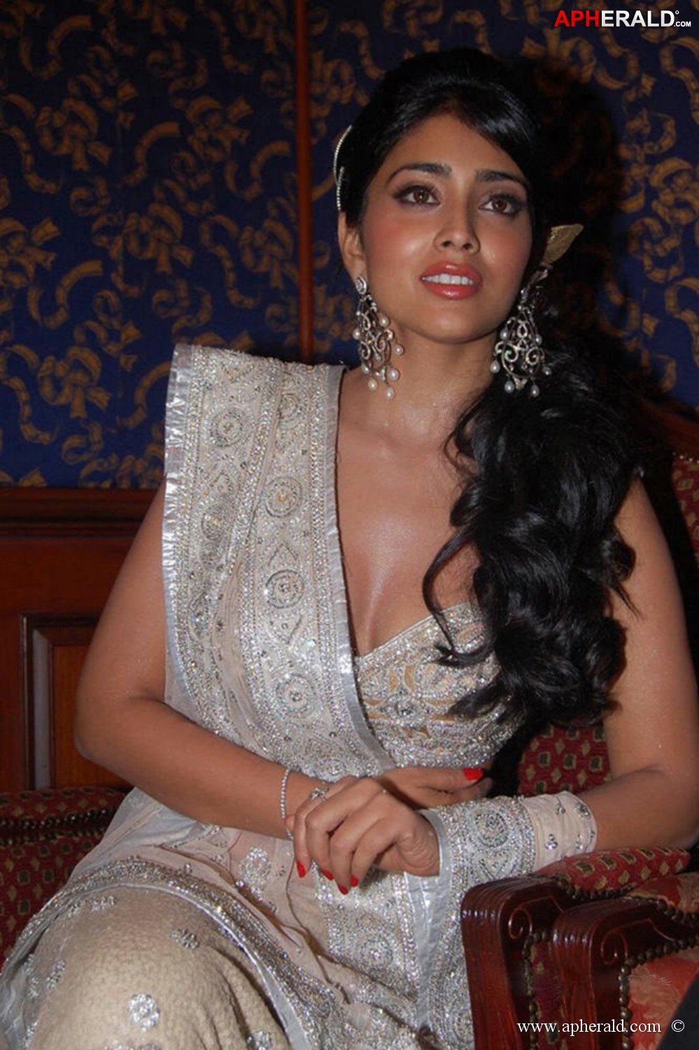 Shriya Saran Hot Navel Show