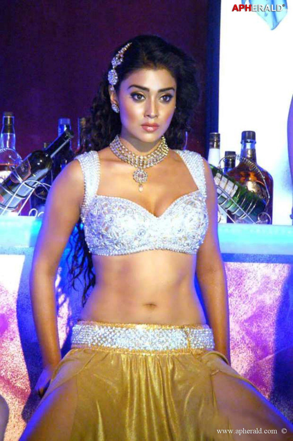 Shriya Saran Hot Navel Show