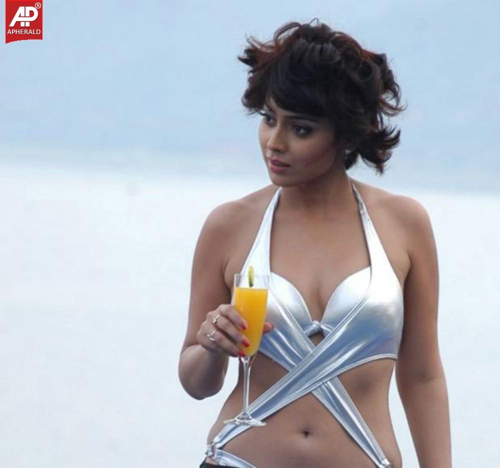Shriya Saran Top Hot Photo Gallery