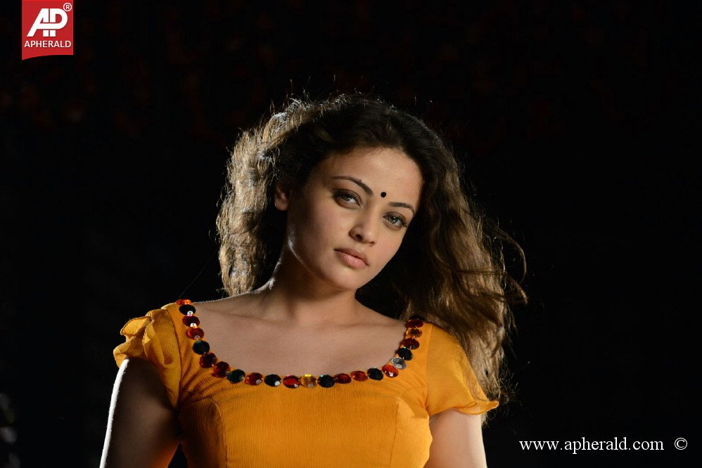 Sneha Ullal Hot Pictures