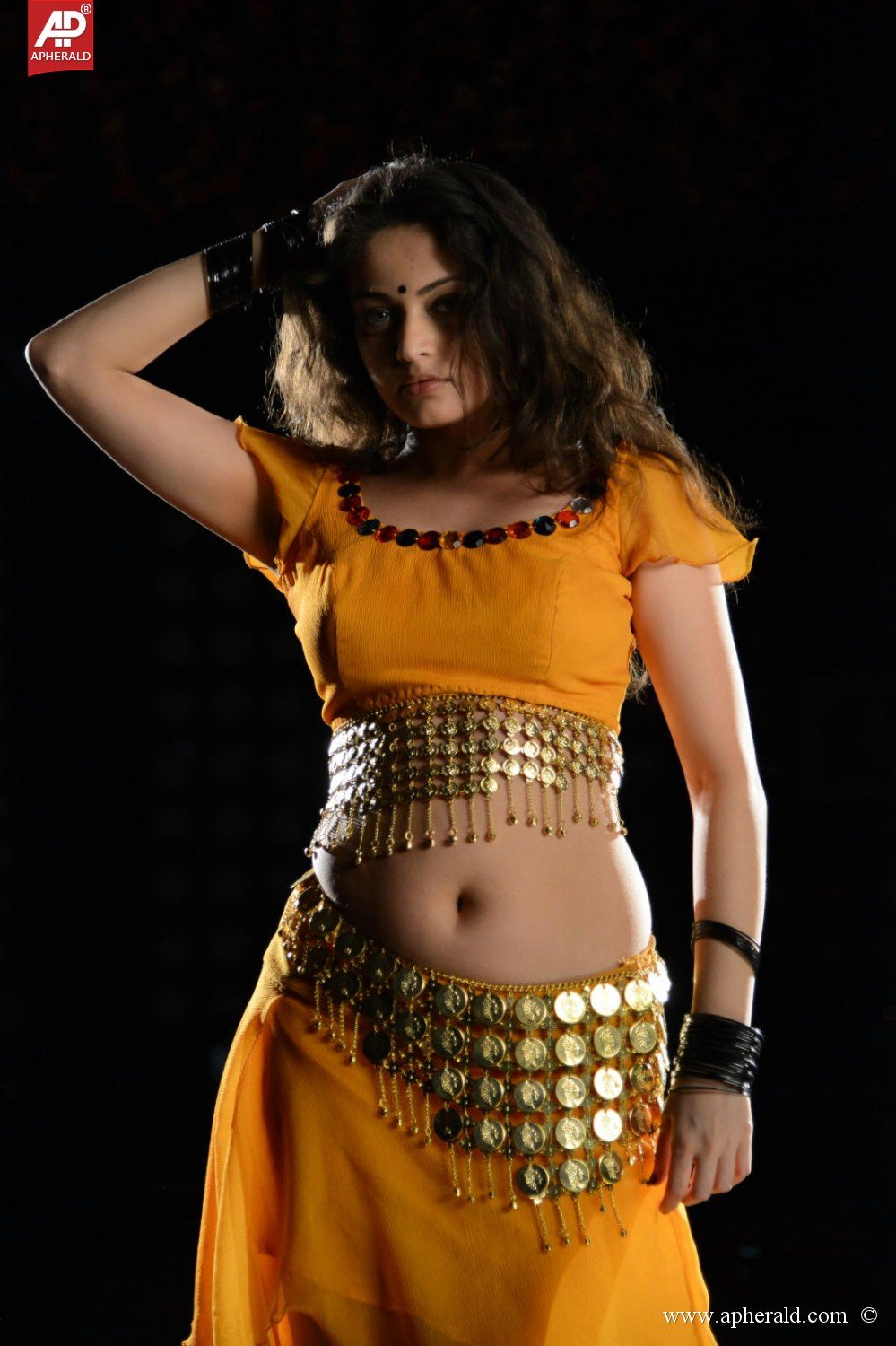 Sneha Ullal Hot Pictures