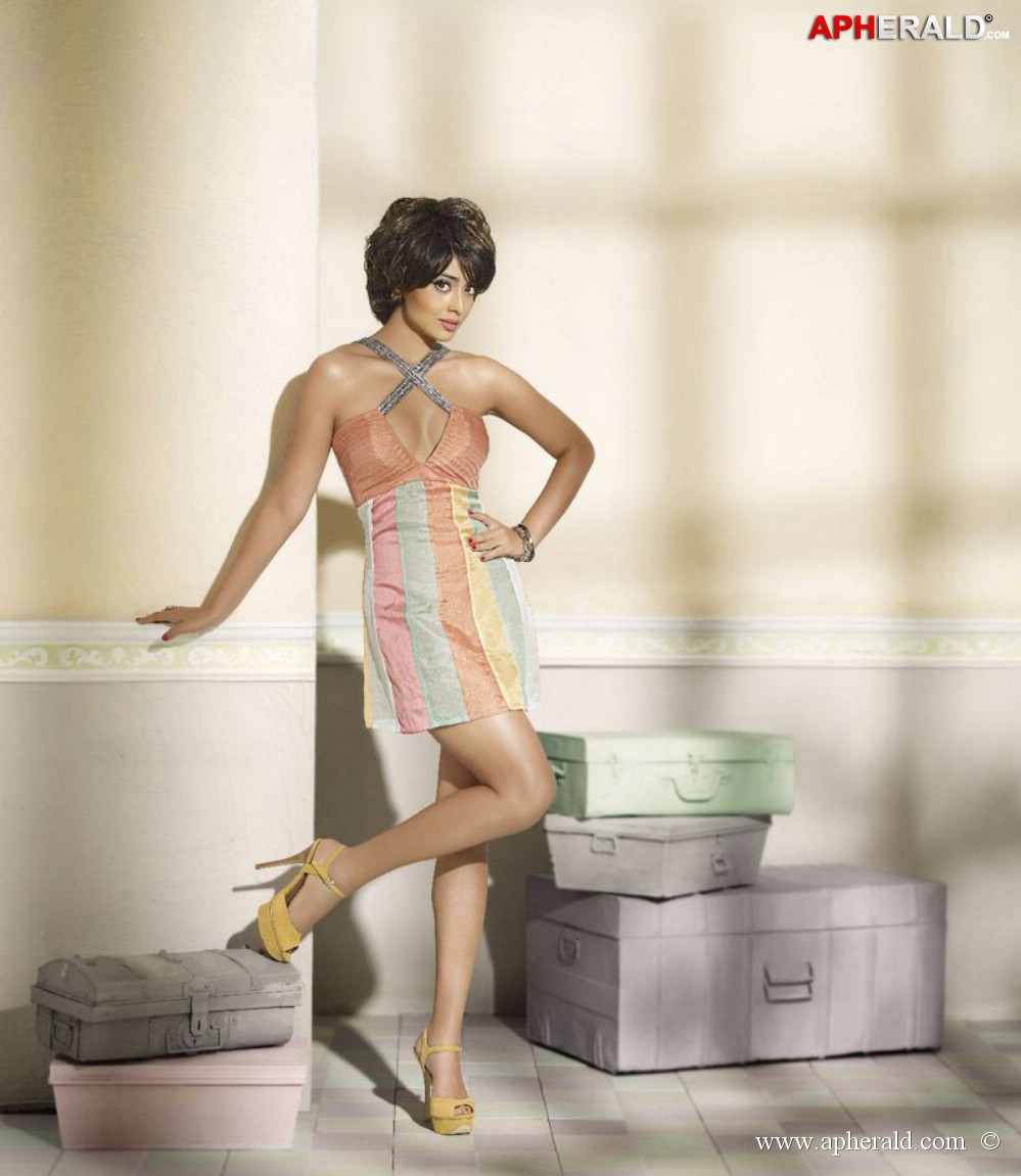 South Actress Hot Photoshoots