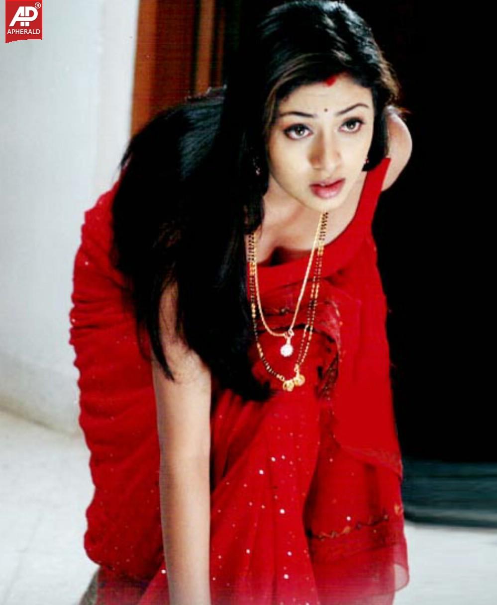 South Indian Sizzling Beauty Photos
