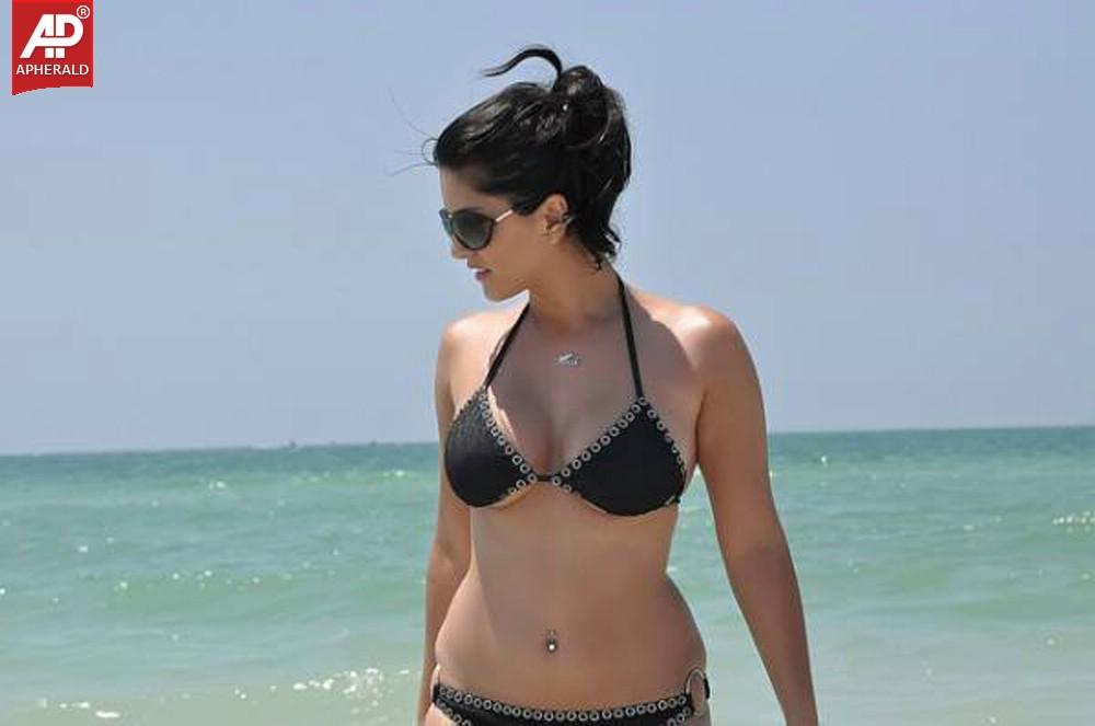 Sunny Leone Hot Wallpapers
