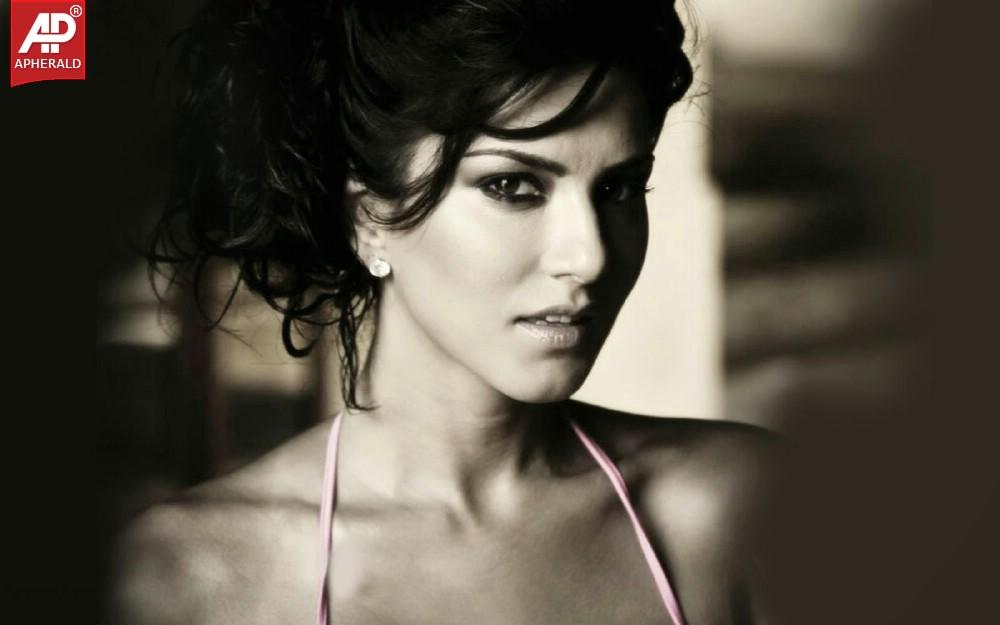 Sunny Leone Nevel Wallpapers