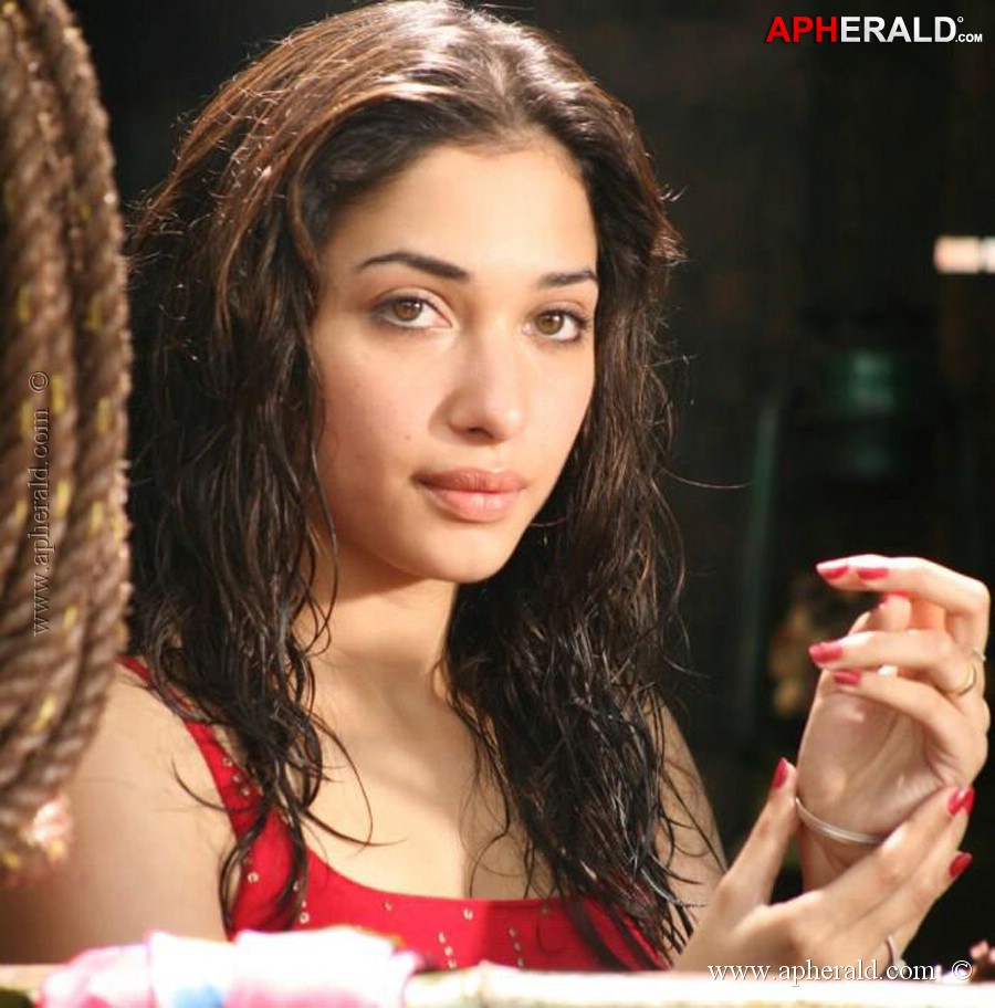Tamanna Hot Stills