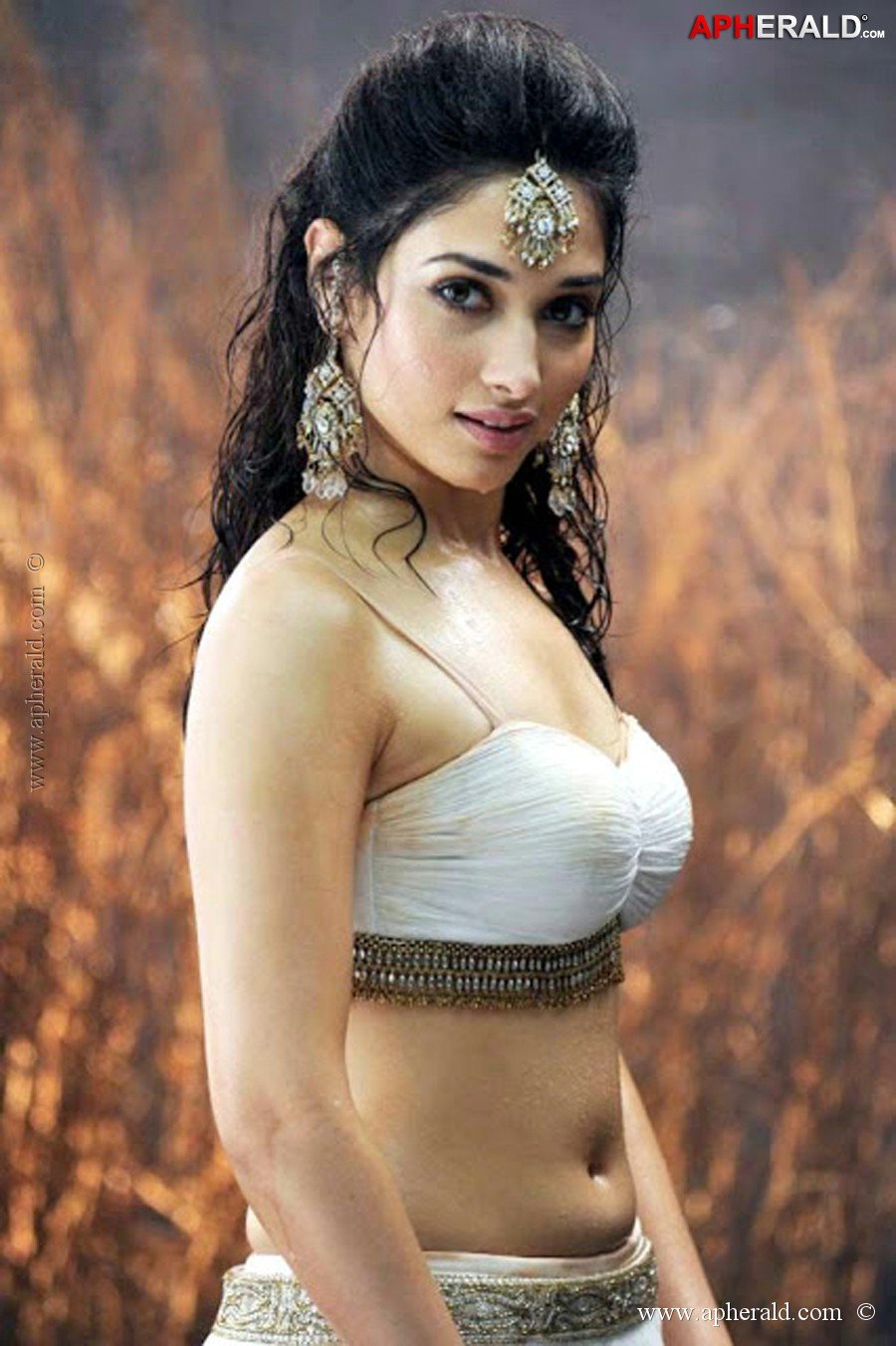 Tamanna Hot Photos