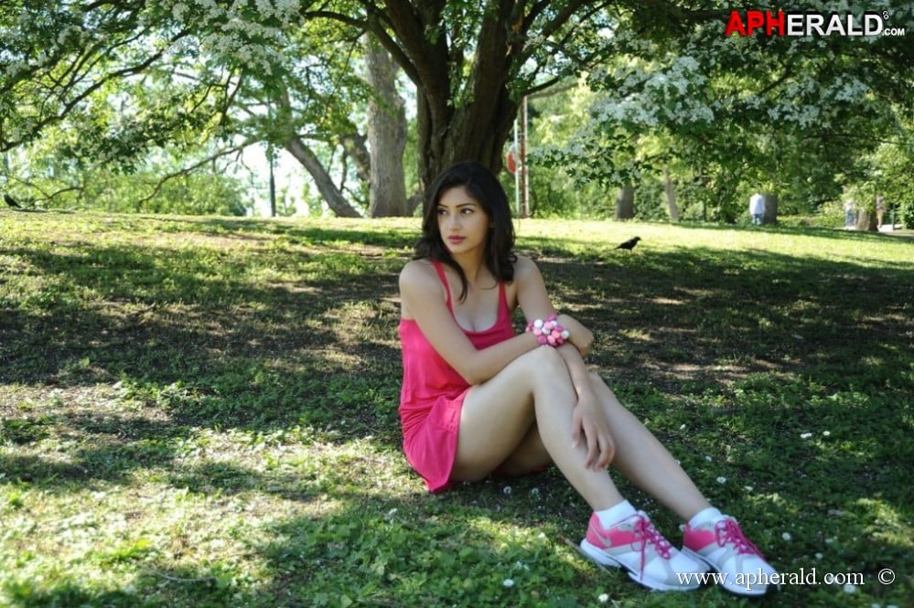 a sample image