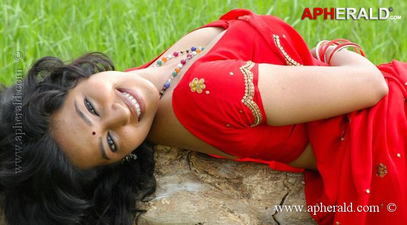 Teertha Hot Stills in Saree