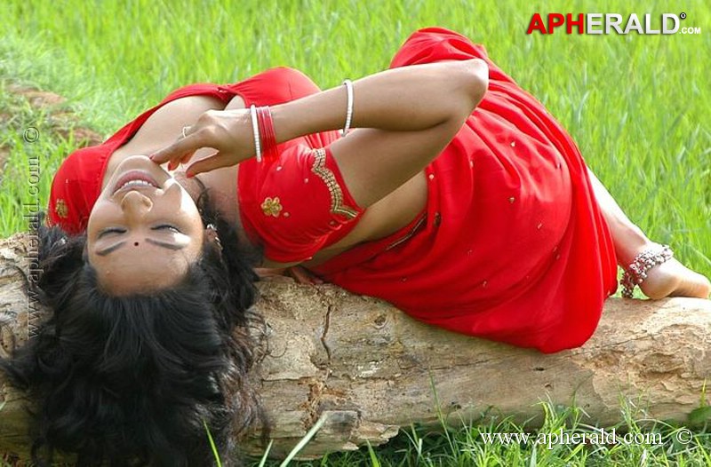 Teertha Hot Stills in Saree