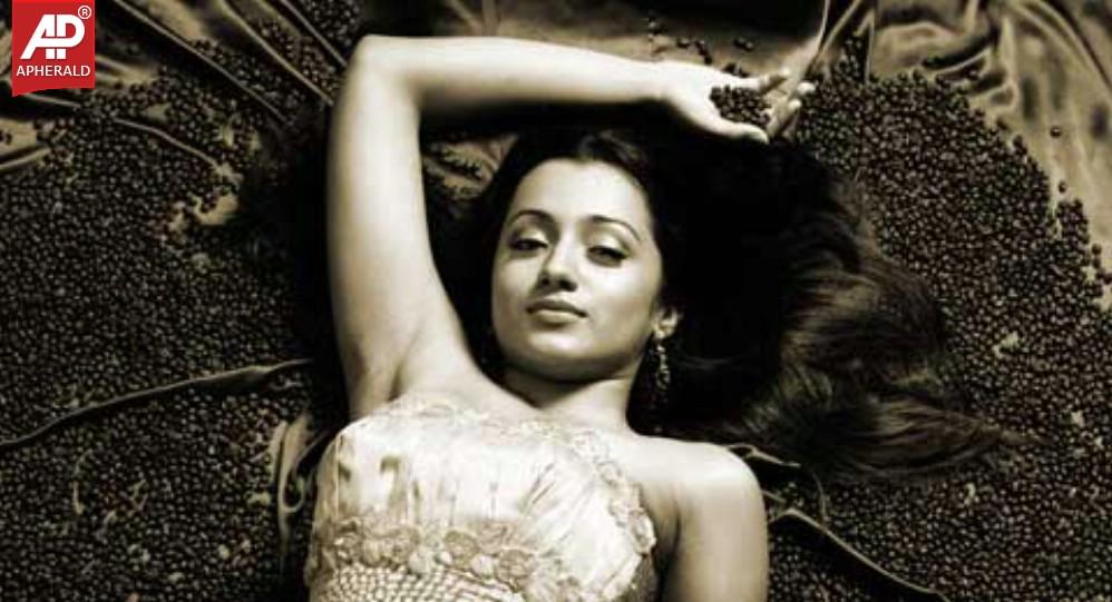 Trisha HOT Pics