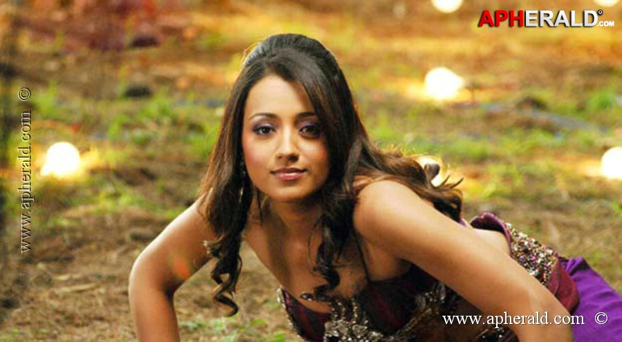 Trisha Krishnan Hot Navel Stills