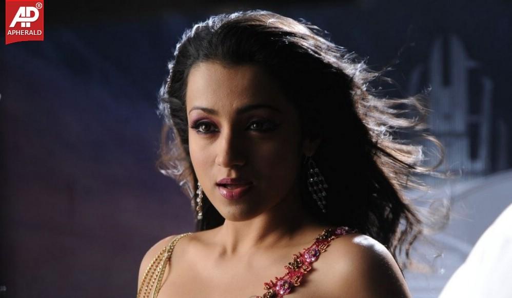 Trisha New Hot Stills