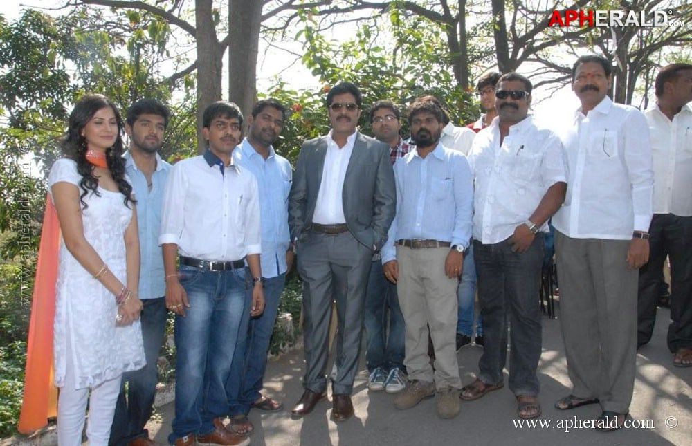 a sample image