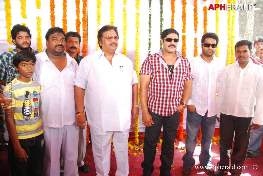 Actor Srihari Photos