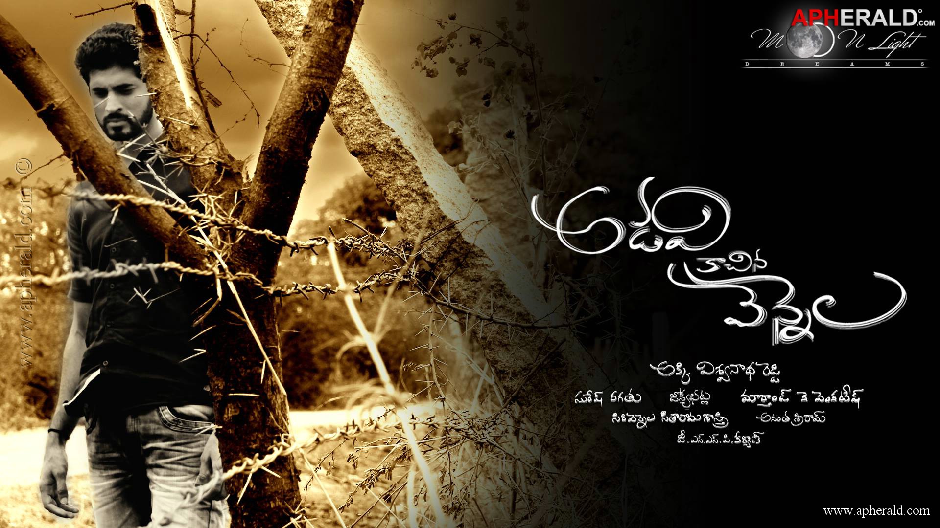 Adavi Kachina Vennela Movie Posters