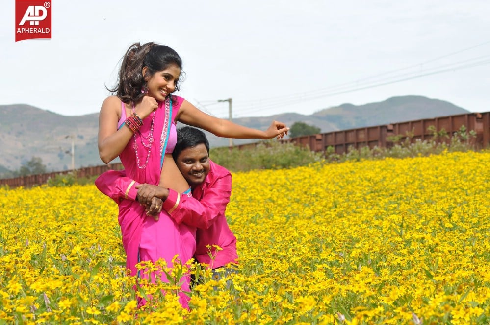a sample image