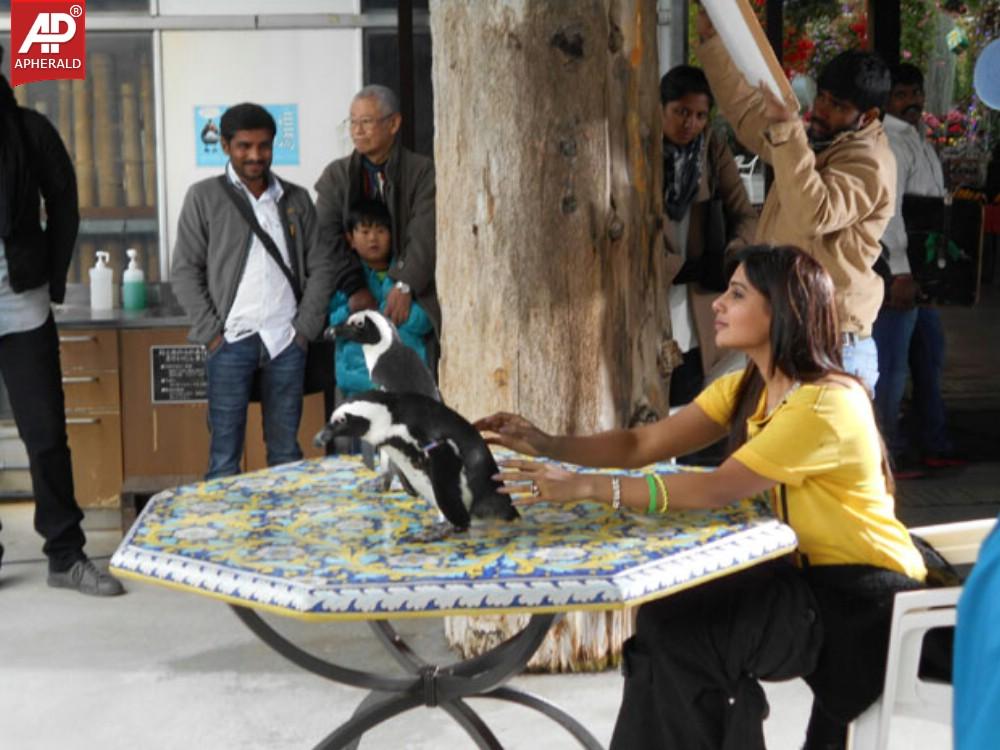 Alludu Seenu on Location Stills