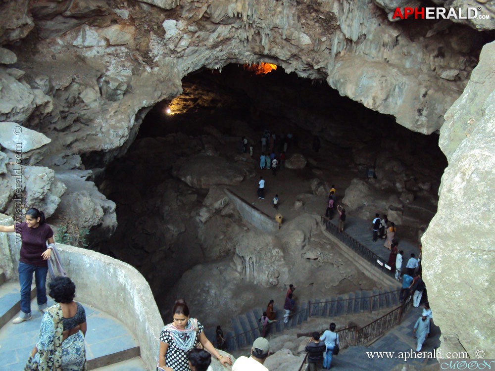 a sample image
