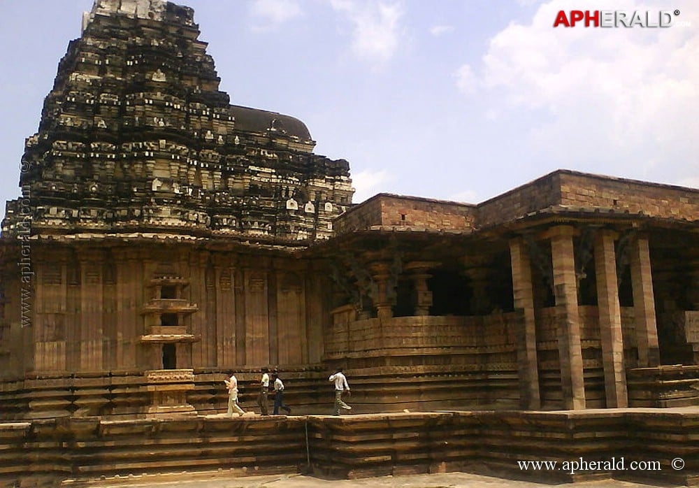 a sample image