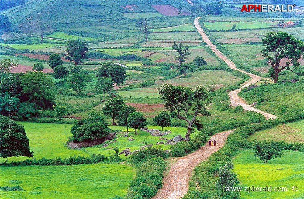 a sample image