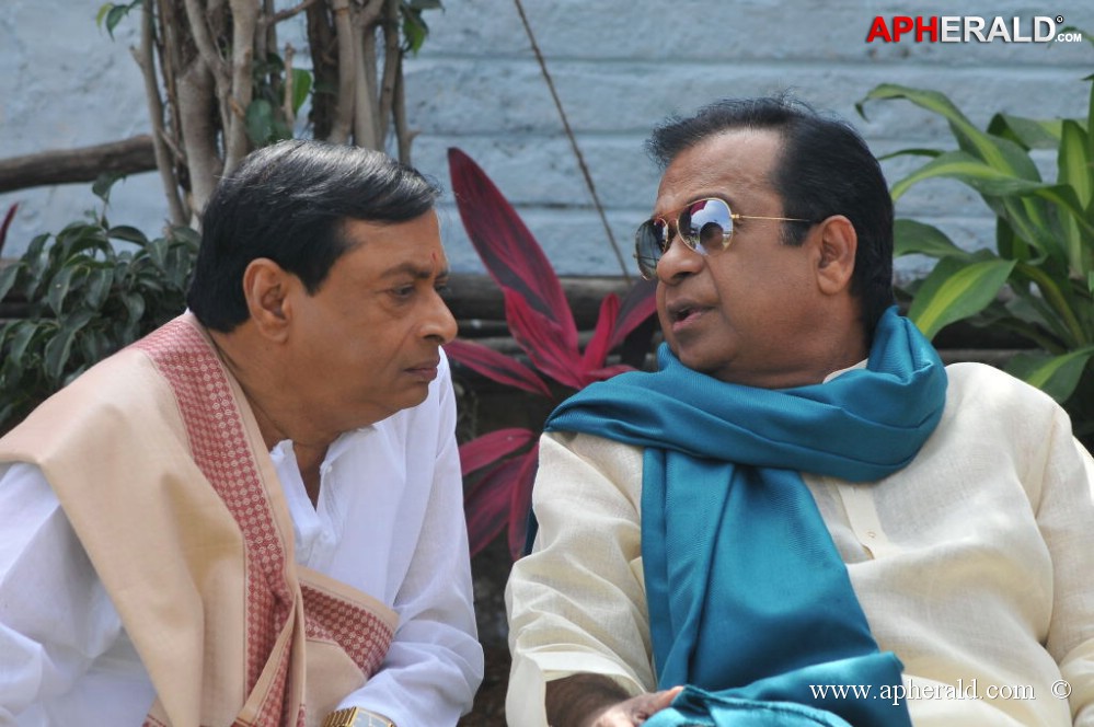 Bangkok Brahmanandam Movie Stills