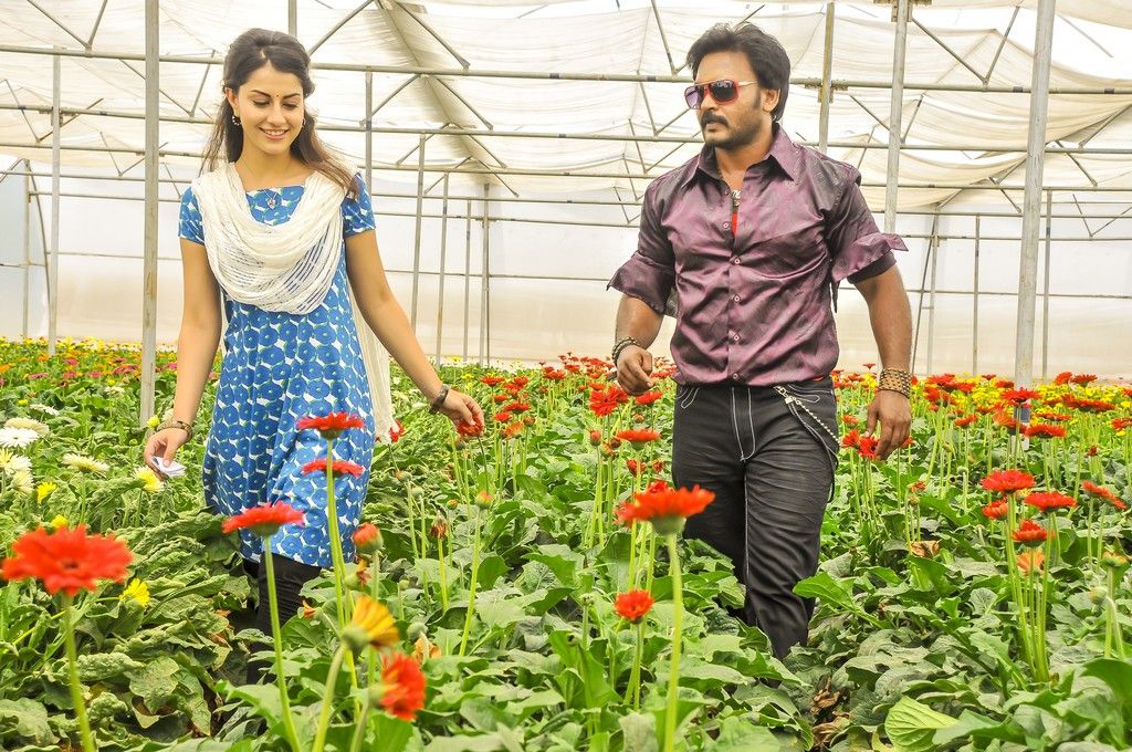 Billa Ranga Movie New Stills