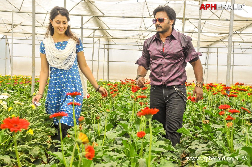 Billa Ranga Movie Photos