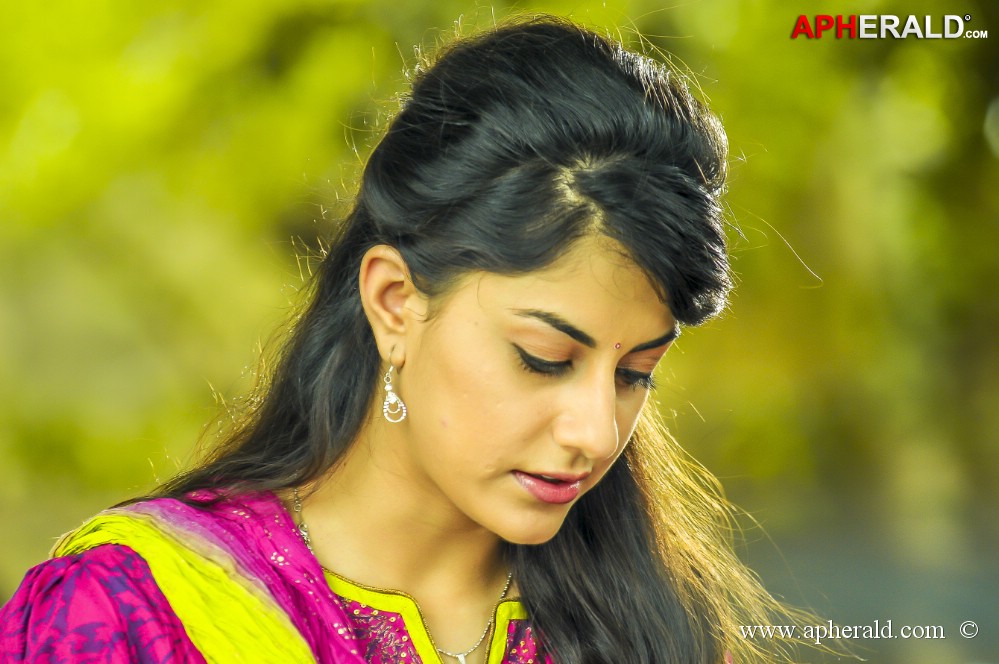 Billa Ranga Movie Photos